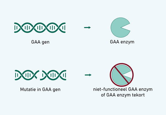 NB GAA Mutation (1)