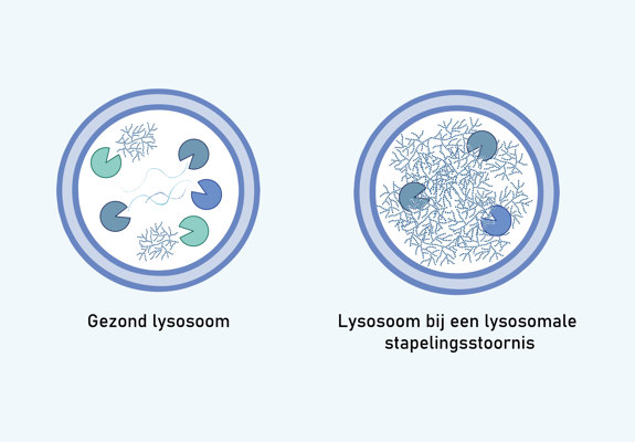 NB Lysosome Storage Disorder (2)