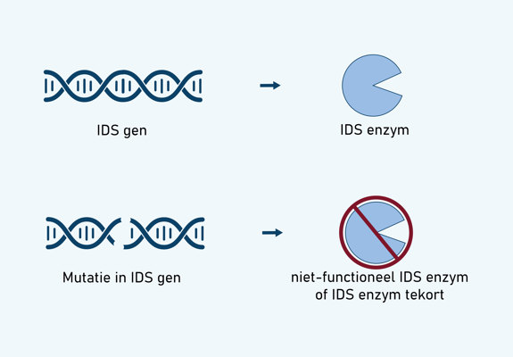 NB IDS Mutation (1)
